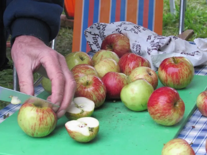 Apple Pressing (1) 2015