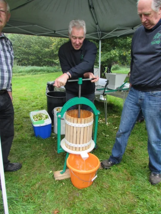 Apple Pressing (3) 2015