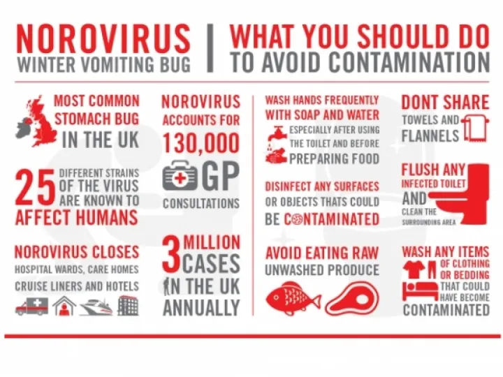 Norovirus Poster