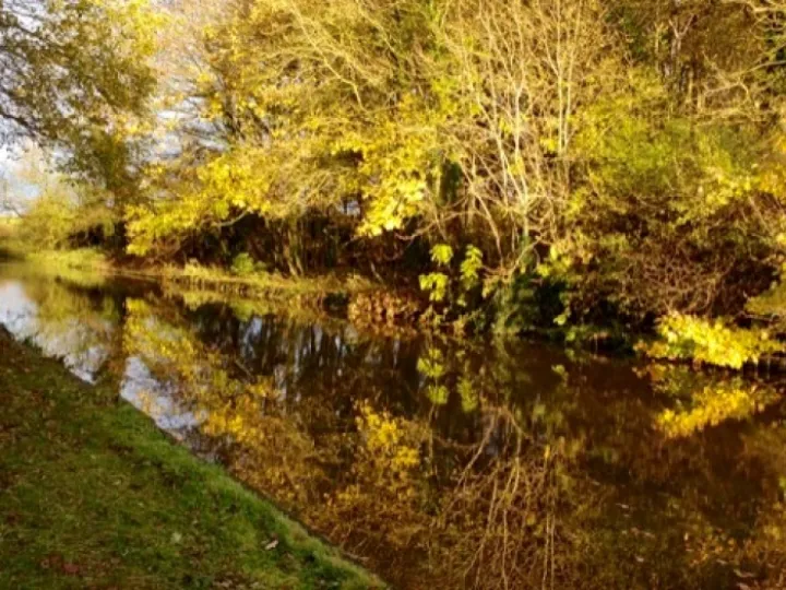 Between Bridges 11 &ndash; 12