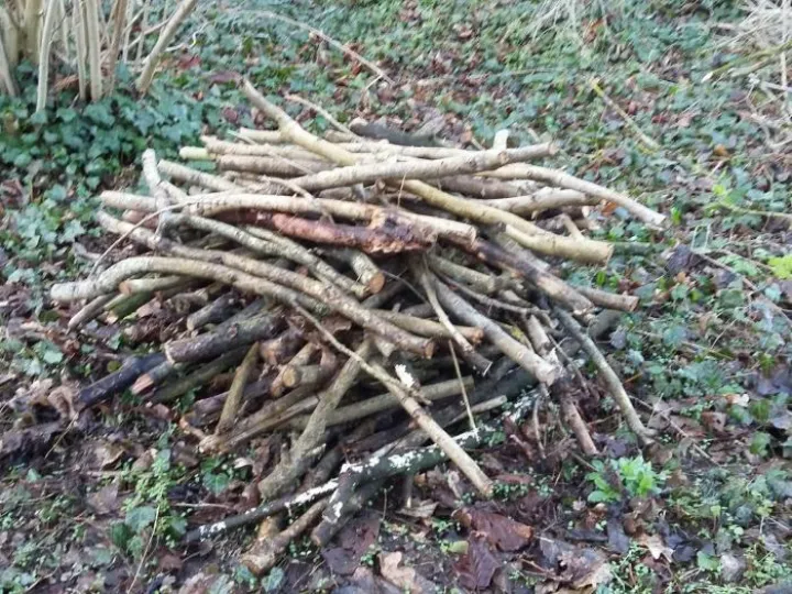 Habitat Piles