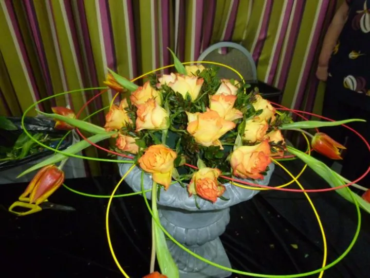 A H & T Flower Club march 2017 P1030204