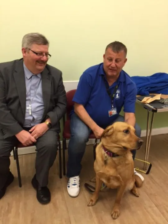 World Focus Guide Dogs for the Blind