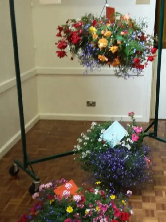 THS 2017 Flower Basket Exhibits 20170819_150048_resized