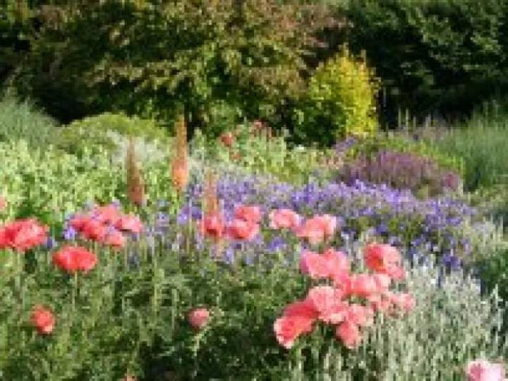 Bluebell Cottage Gardens-header