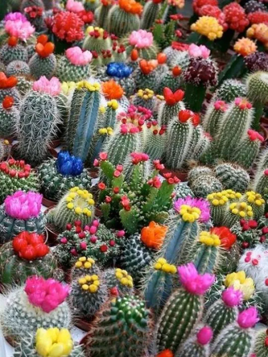 45C3EDF2-E35B-4268-AB22-391E72510142