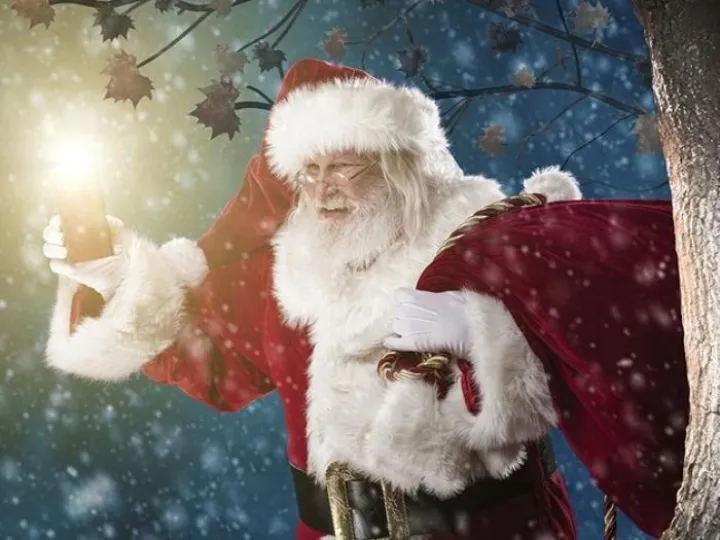 blakemerewoodland3-M278080