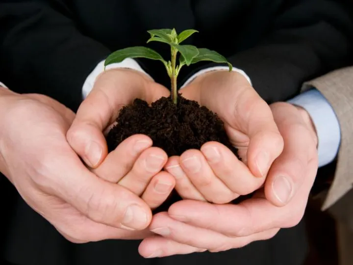 Messy_growth Feb2018