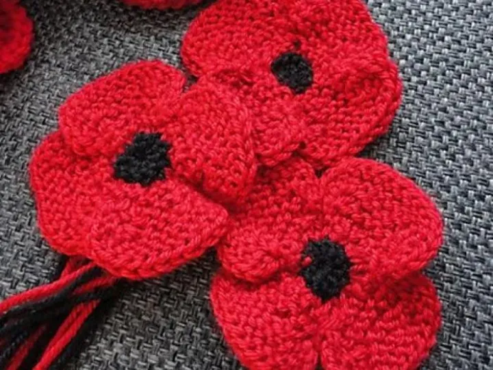 394ff516d966db246ef6e8a38ddeffd8-knitted-poppies-knitted-flowers