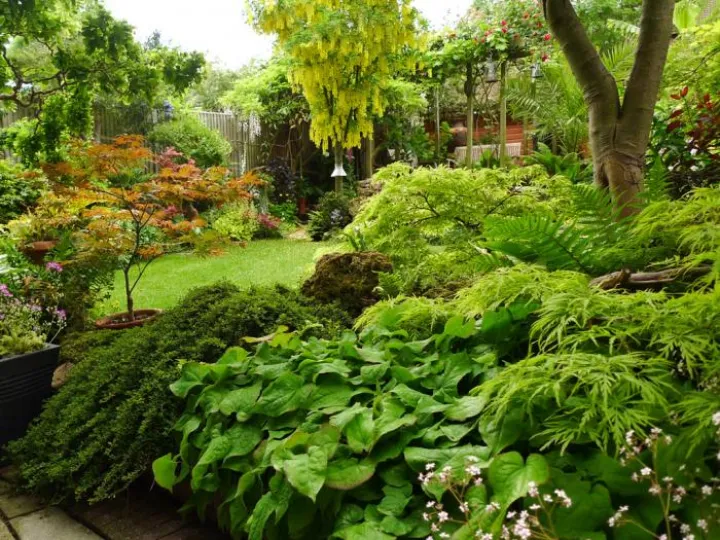 Open Gardens 08