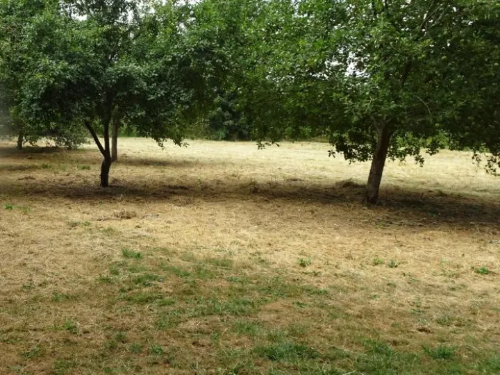 Snakemoor Maintenace Jul18