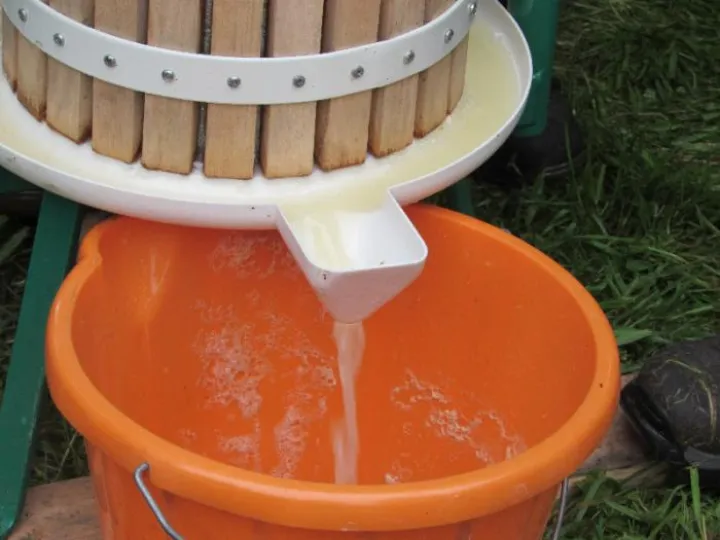 Apple Pressing CB