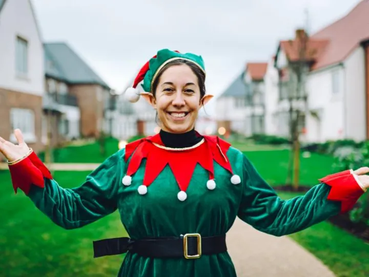 Storytelling Elf (1)