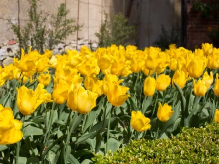 Turn End Open Gardens 03