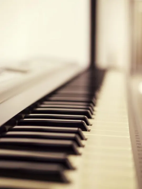 black-classic-close-up-191240