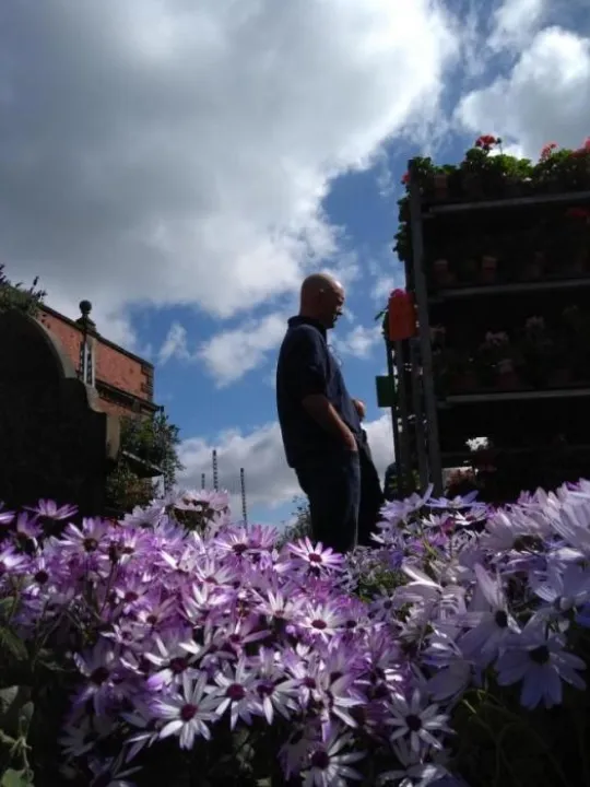 plantsale2019thumbnail1