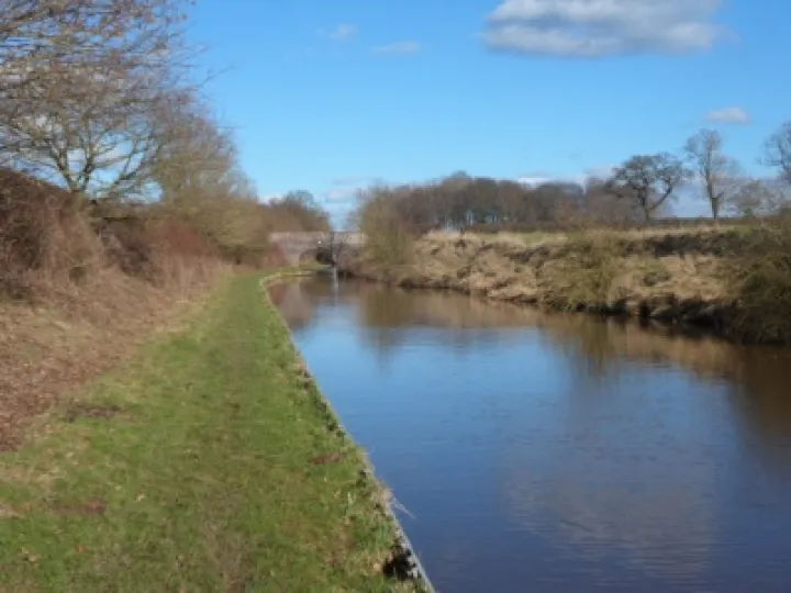 Canal walk January 2013 (19)