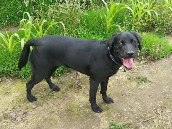 E9E659C9-AB35-408D-A32B-0E0165680E76