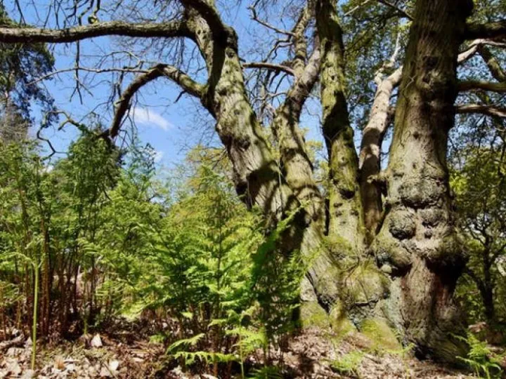 https___cdn-evbuc-com_images_69870147_221625633266_1_original