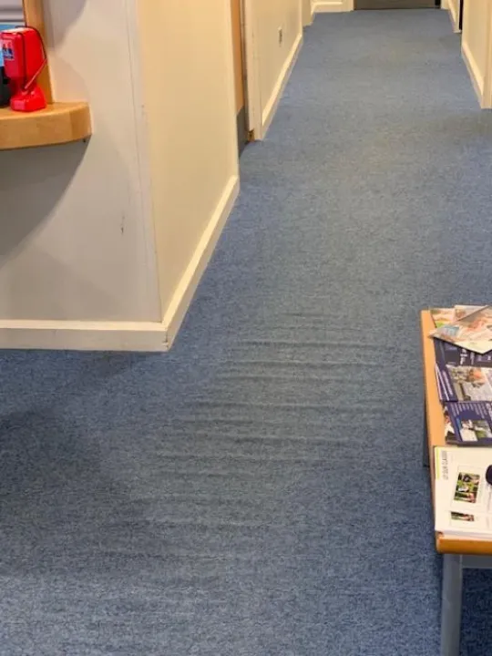 TCC Old Foyer Carpet 75412039_2695397593854499_7640702753219543040_n