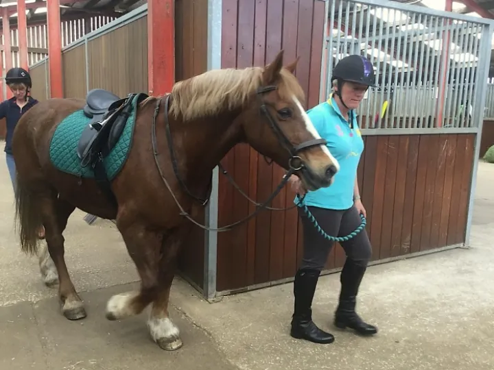 Nantwich & District RDA Group