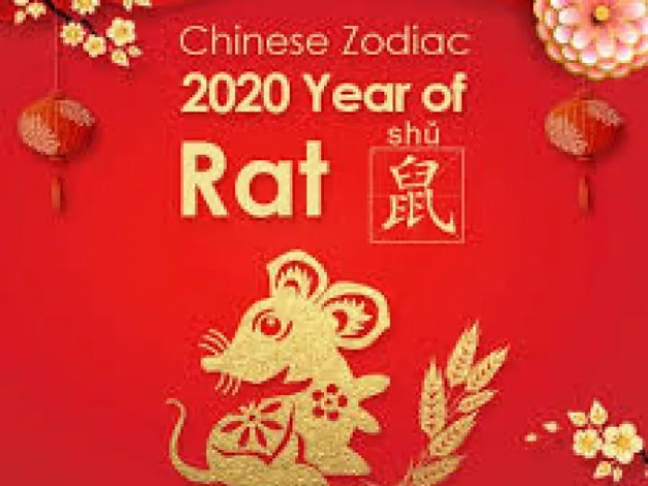 Year of the Rat