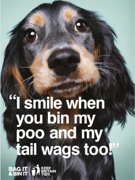 Do it for your dog Sarah