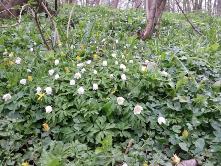 Image: 20200330_092240