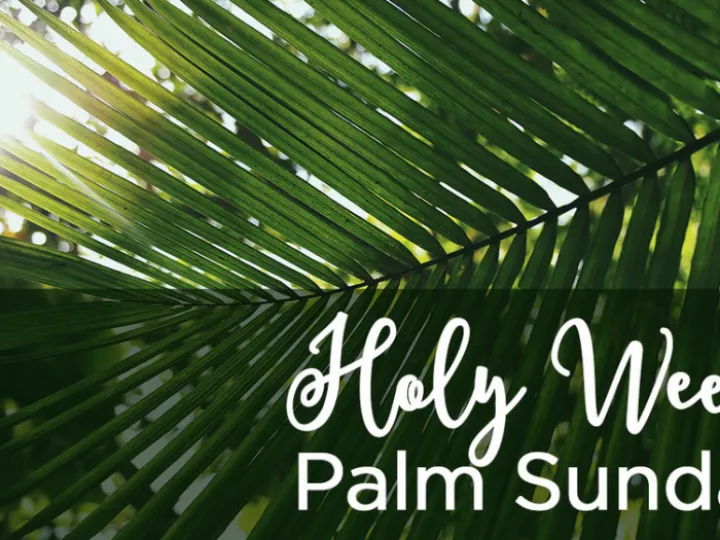 Holy Week &ndash; Psalm Sunday