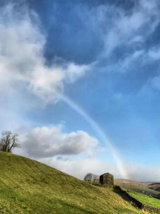 angram_rainbow_portrait