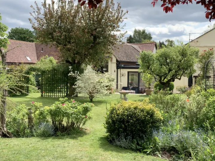 Janet Robinson's Garden