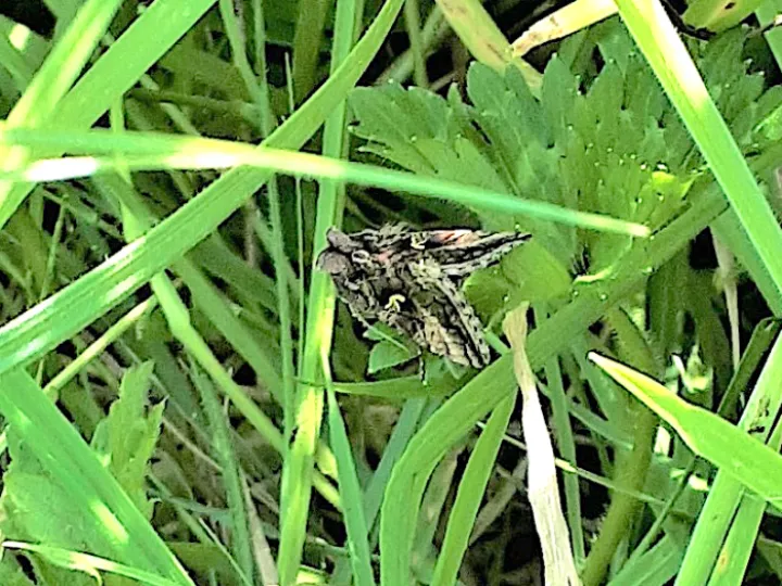 Turn Back time in Turnpike