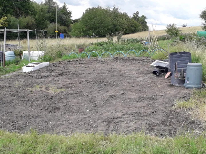 Image: 20200702_145605