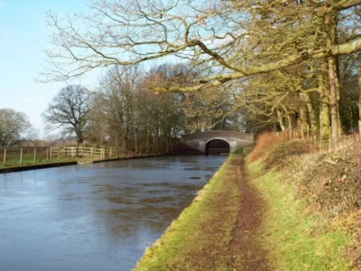 Canal at Cheshire – Shropshire border south of Audlem