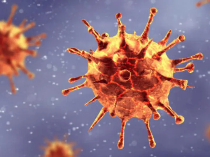 Covid &ndash; 19 Virus