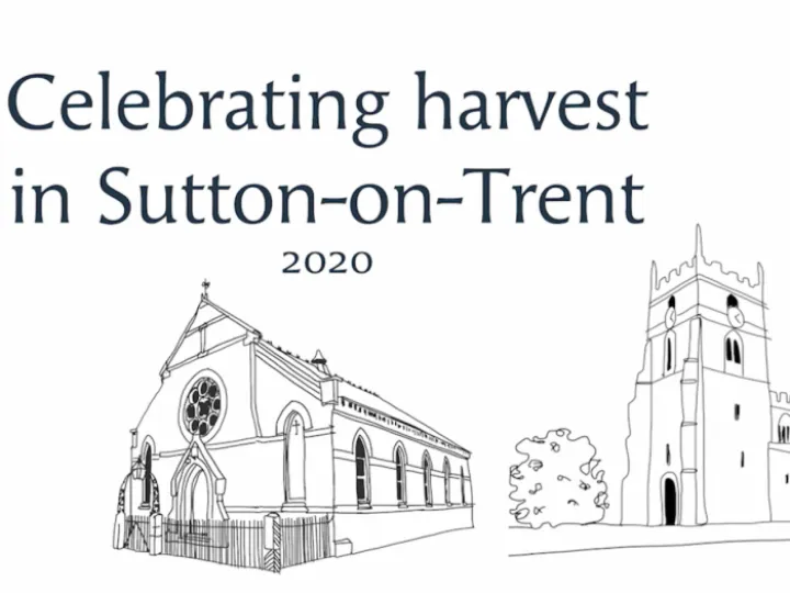 SOT Harvest Service Image
