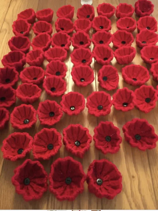 Kexborough knitted poppies
