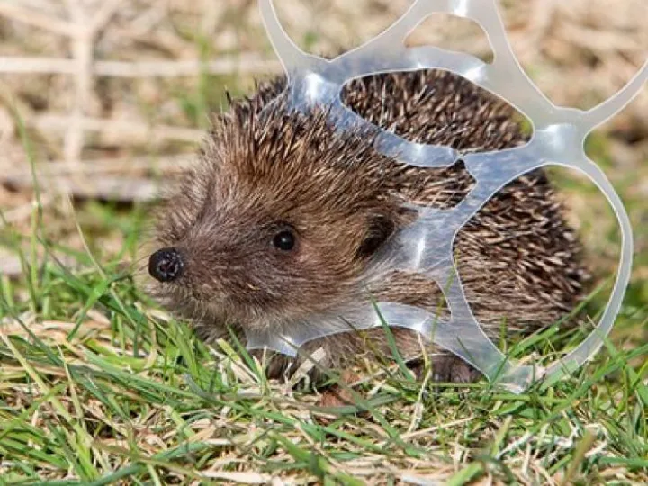 countrysidelitter2-M372870