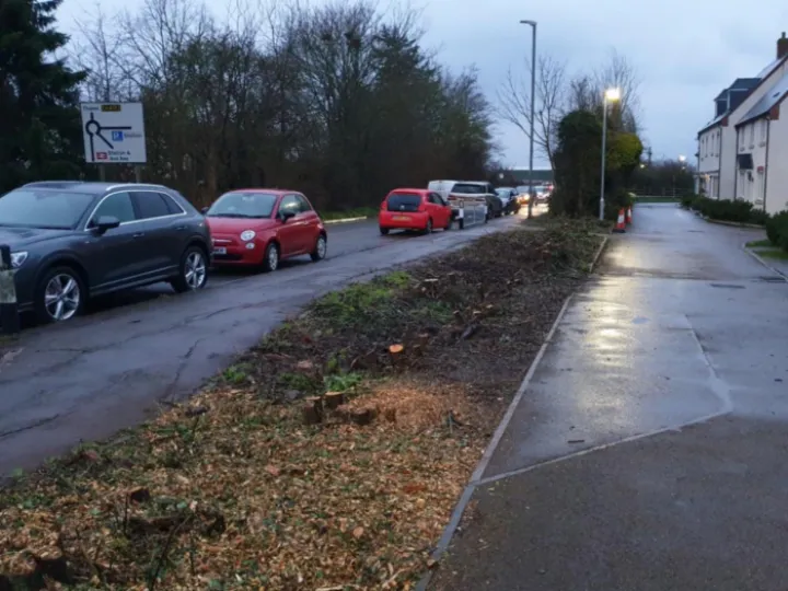 Preparing the Ground