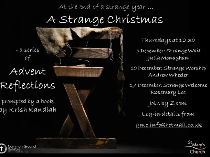 A Strange Year Poster 2020 (004)