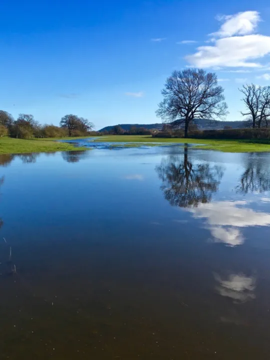 lake tattenhall crop