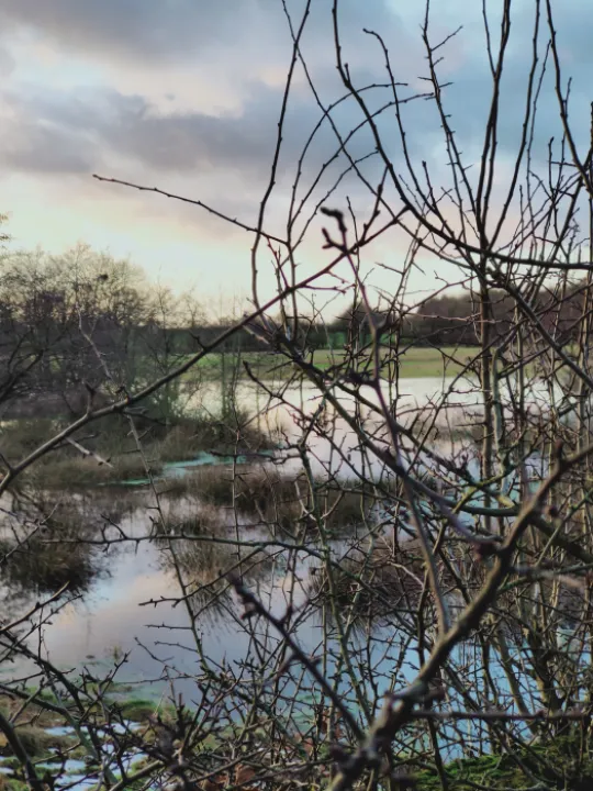 TOL Hochenhall Farm Mere IMG20210121161505[290041]