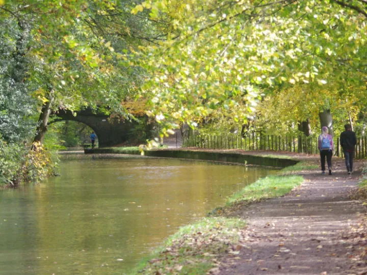 Walking the Way photo