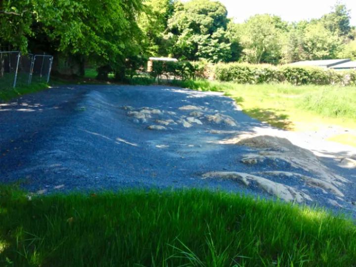 Conlig MTB trail skills course