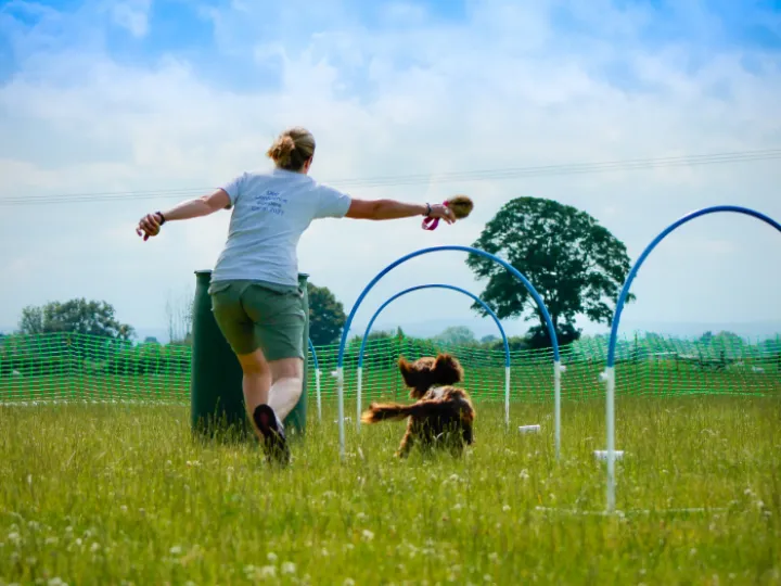 George and me hoops-2