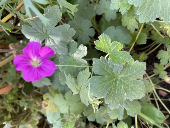 Image: 1B22C650-9484-4741-AE2D-28C3B5B5D622