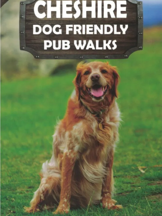 Cheshire Dog Friendly Pub Walks