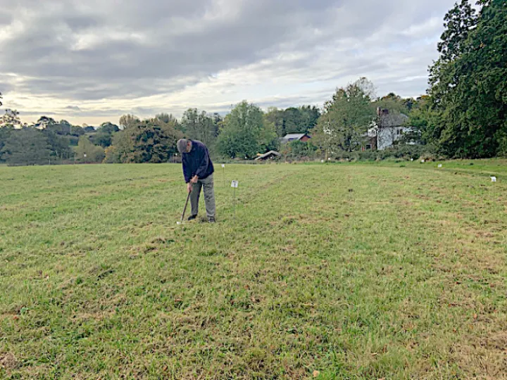 New Trees in Turnpike