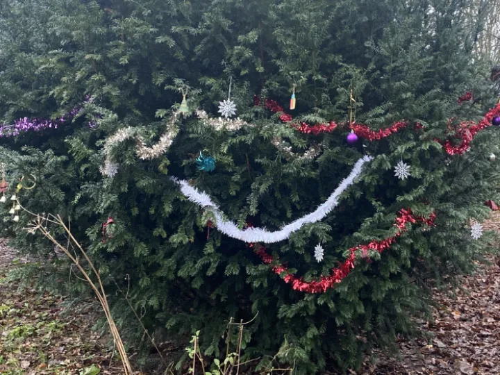 TWT Christmas tree 2021