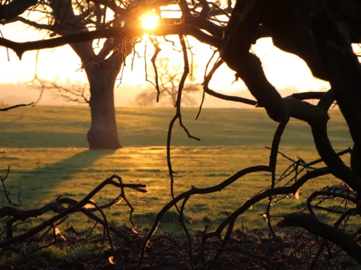 Tarvin Sunset Jan 22 &ndash; 2